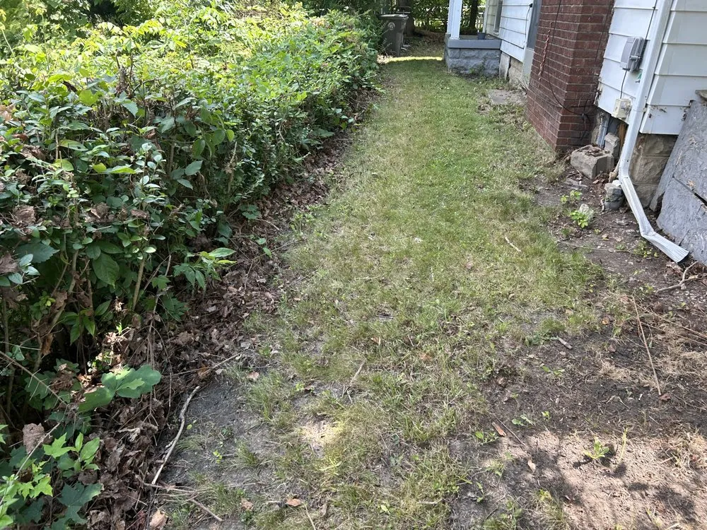 Expert landscape installation in Youngstown, OH - Mister Fantastic