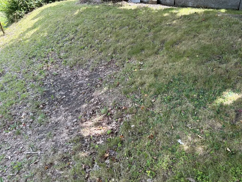 Custom yard maintenance for residential properties across Youngstown, OH - Mister Fantastic