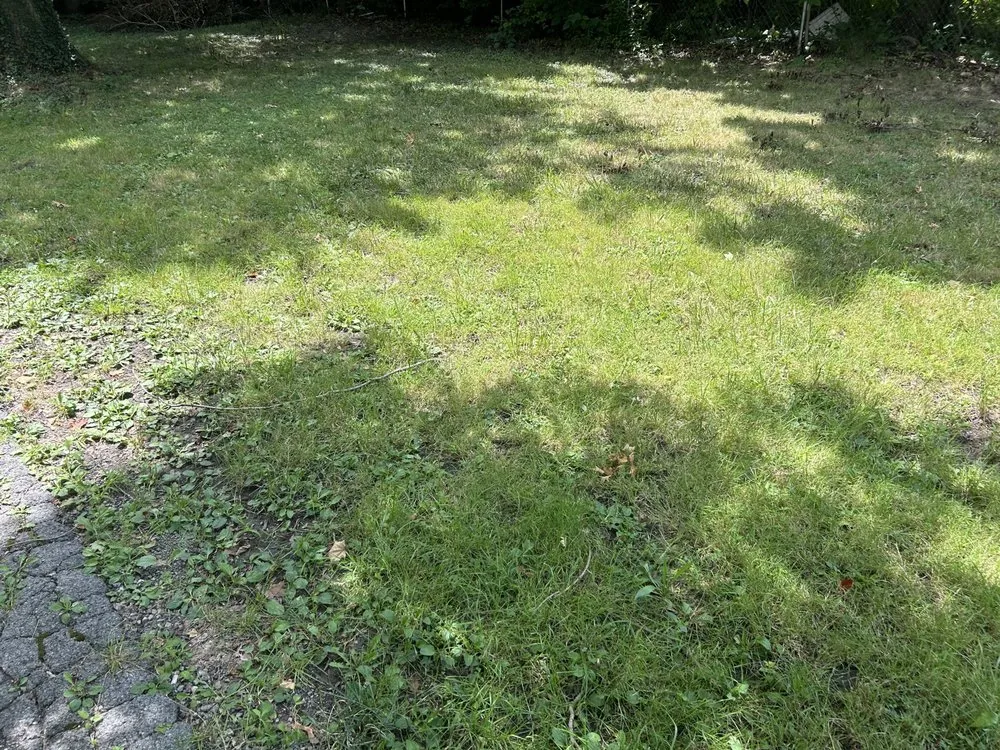 Top-rated landscape installation in Youngstown, OH by Mister Fantastic