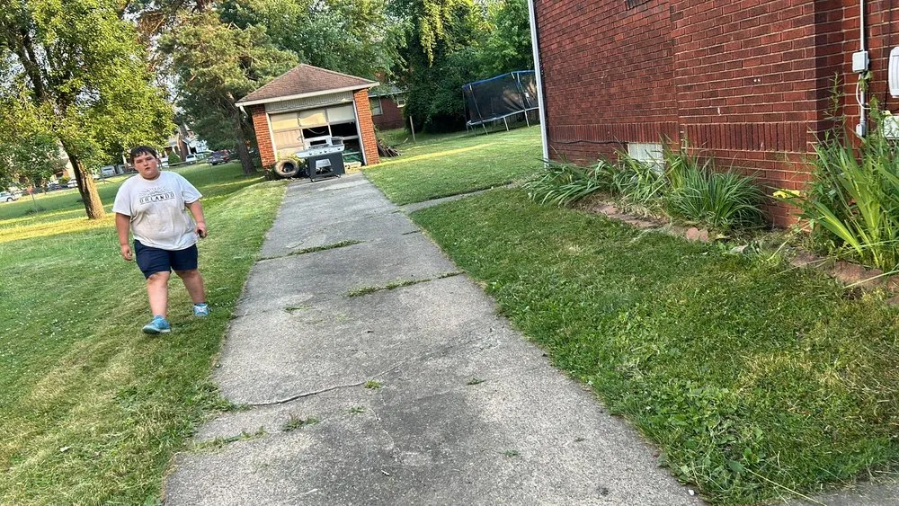 Top-rated landscape design in Youngstown, OH - Mister Fantastic