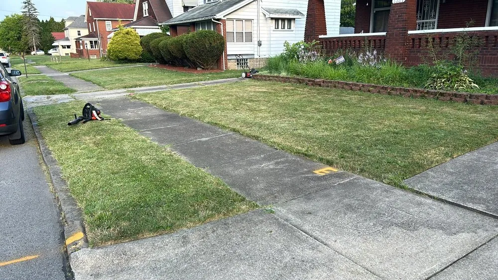 Expert yard cleanup service for homes in Youngstown, OH by Mister Fantastic