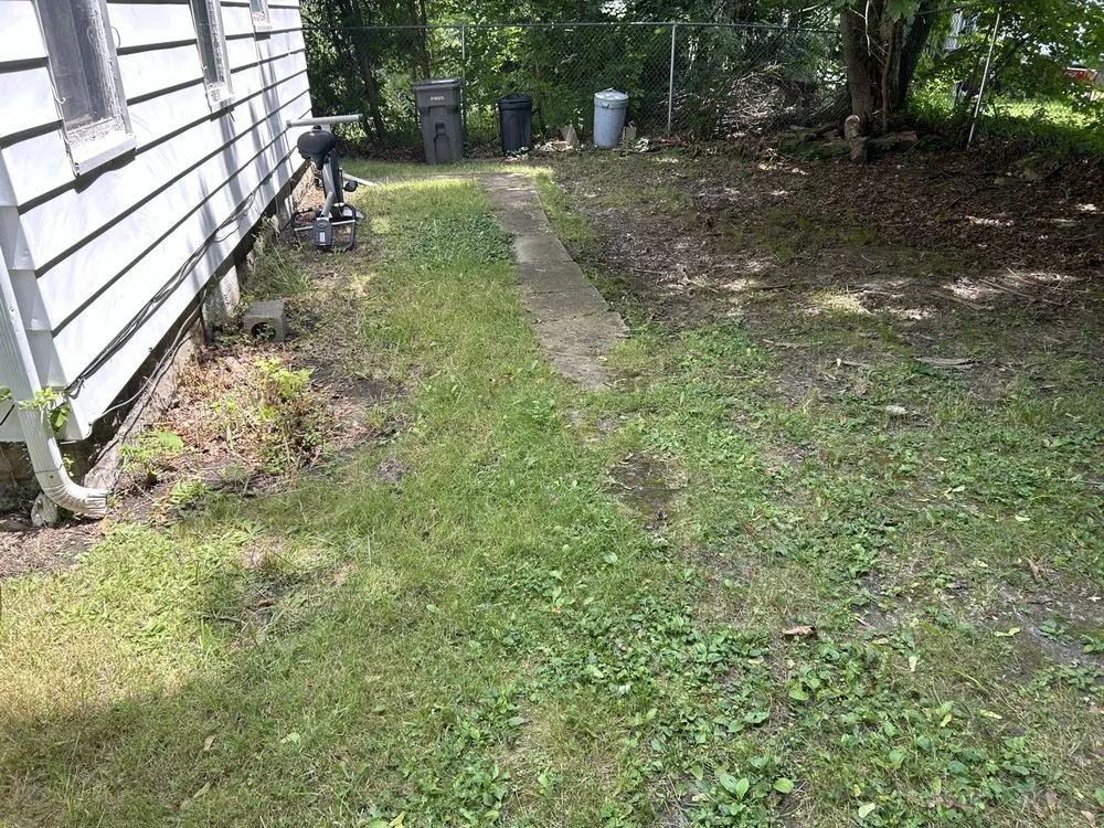 Top-rated landscaping services for year-round maintenance in Youngstown, OH by Mister Fantastic