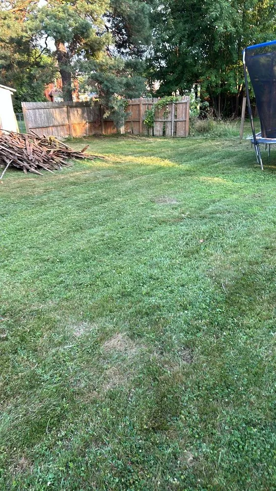 Expert lawn mowing service experts serving Youngstown, OH - Mister Fantastic