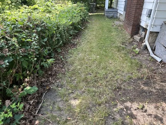 Mister Fantastic Logo