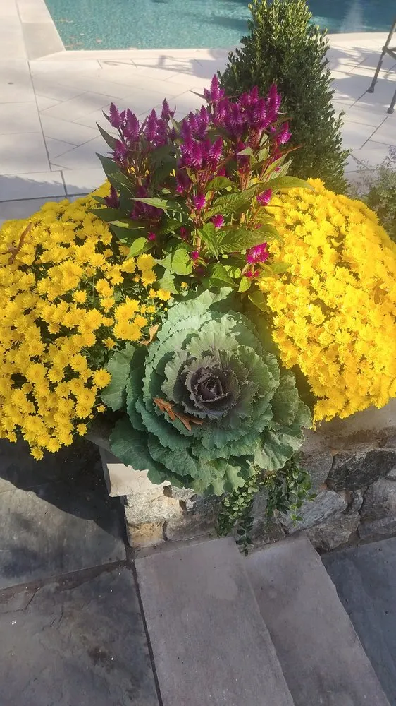 Top-rated yard maintenance for beautiful yards in Newark, NJ by Mister G Landscaping & Construction