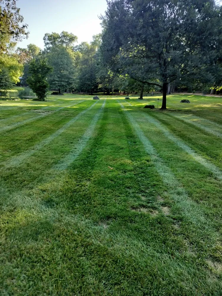 Top-rated landscape installation near you in Newark, NJ by Mister G Landscaping & Construction