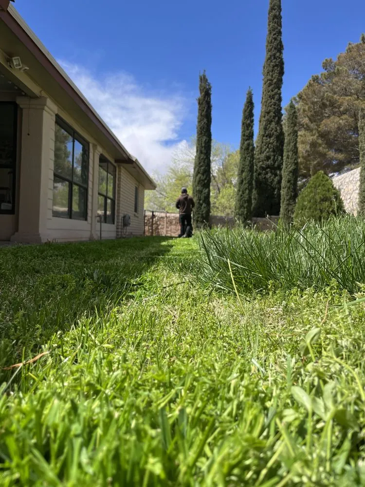 Local landscaping services in El Paso, TX by Mister Green Lawn Care