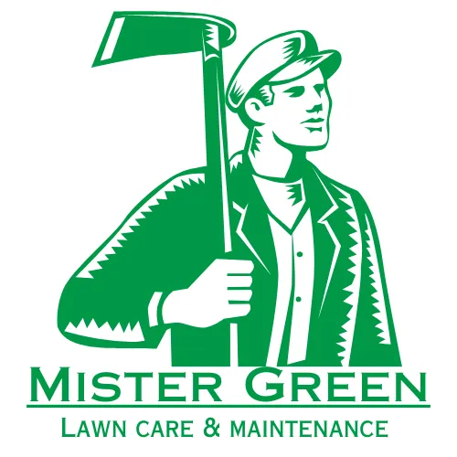 Reliable outdoor landscaping experts serving El Paso, TX - Mister Green Lawn Care