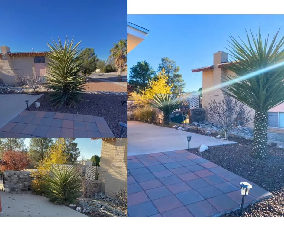 Professional lawn care service for homes in El Paso, TX by Mister Green Lawn Care