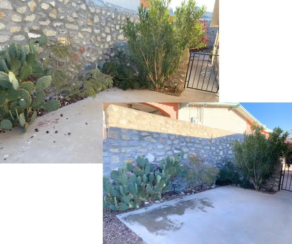 Local garden landscaping in El Paso, TX by Mister Green Lawn Care