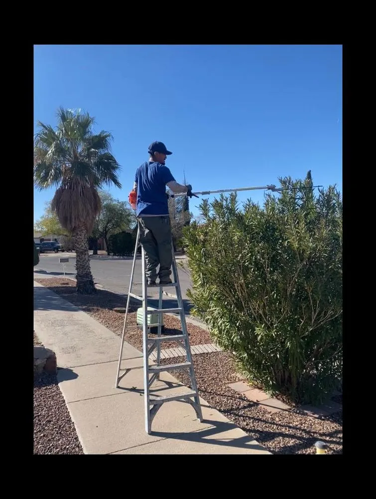 Top-rated landscaping services experts serving El Paso, TX - Mister Green Lawn Care