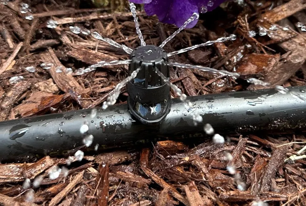 Top-rated outdoor landscaping experts serving Dundee, FL - Mister Landscaper