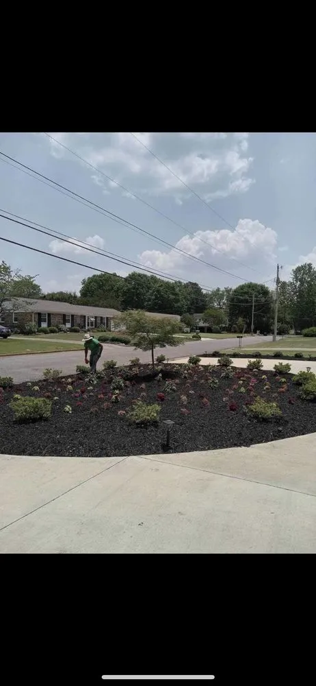 Top-rated landscape design for outdoor upgrades across Decatur, AL - MISTER Lawn & landscaping MAN