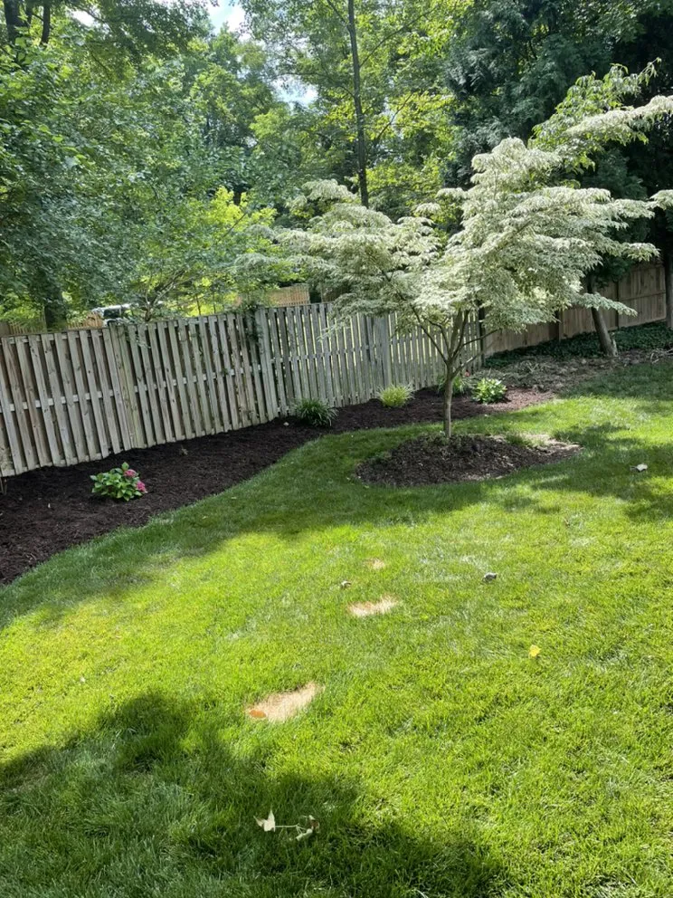 Professional yard maintenance in Hollywood, MD - Mister Lawn Maintenance