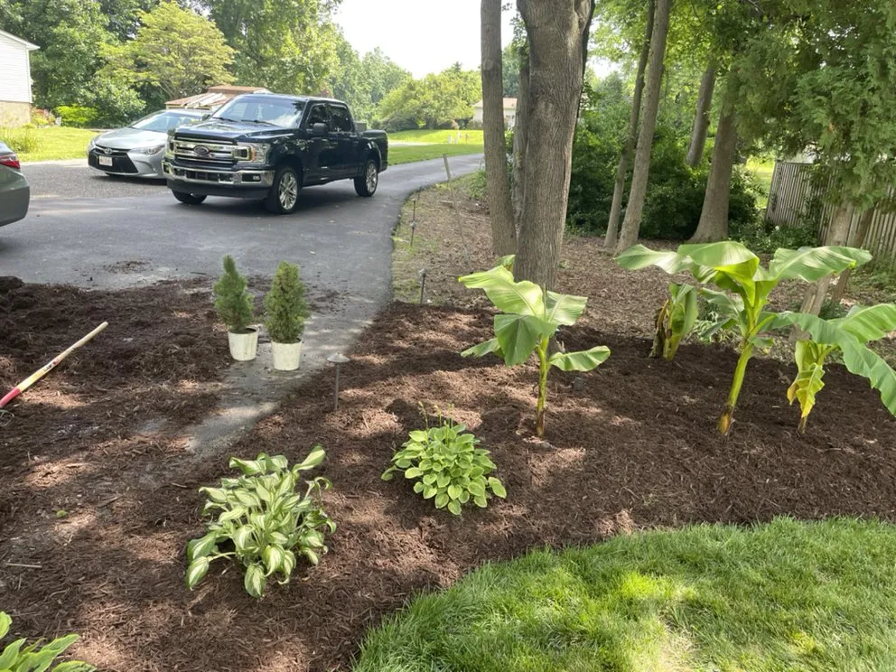 Expert landscape design with custom design in Hollywood, MD by Mister Lawn Maintenance