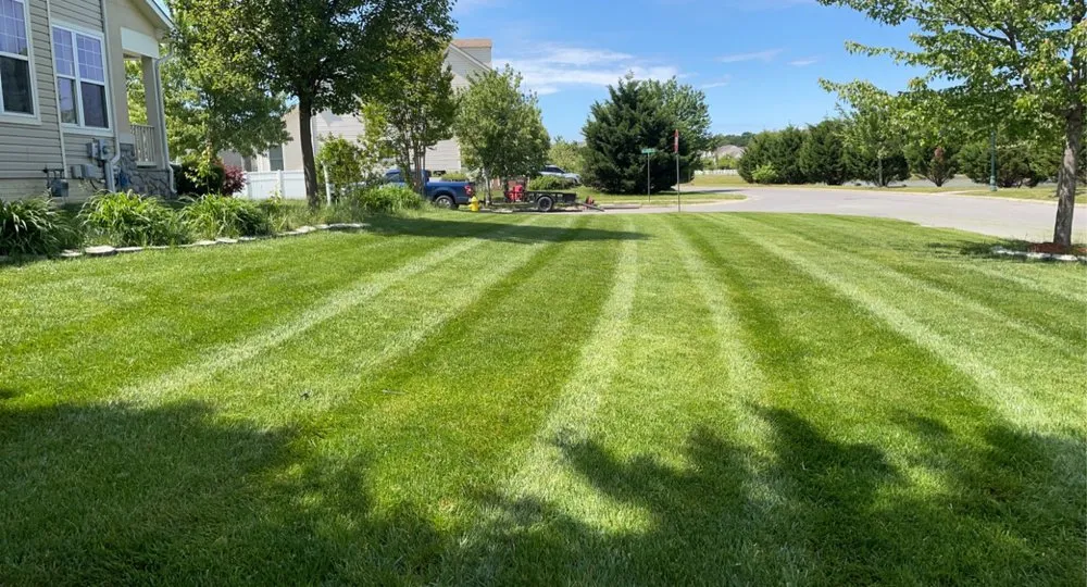 Custom yard maintenance in Hollywood, MD by Mister Lawn Maintenance