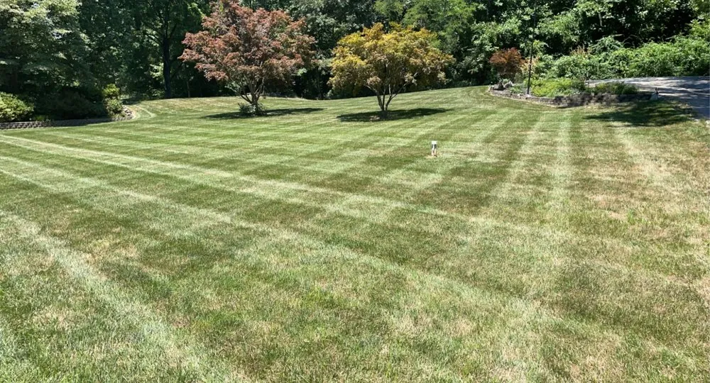Reliable garden landscaping experts serving Hollywood, MD - Mister Lawn Maintenance