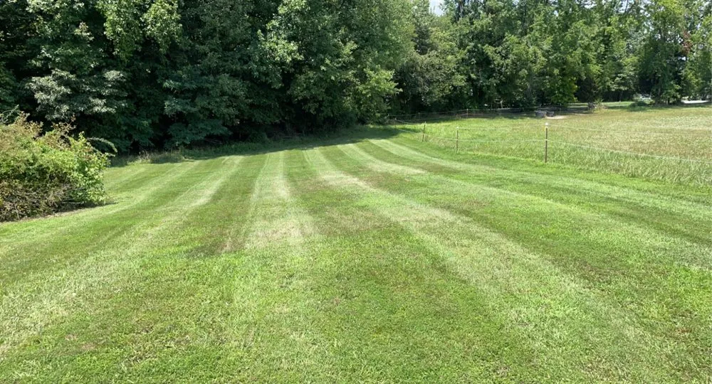 Local yard cleanup service for outdoor upgrades across Hollywood, MD - Mister Lawn Maintenance