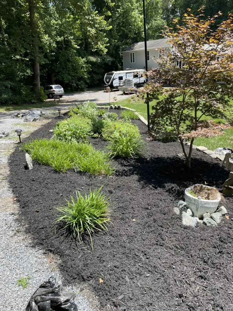 Professional lawn mowing service near you in Hollywood, MD by Mister Lawn Maintenance
