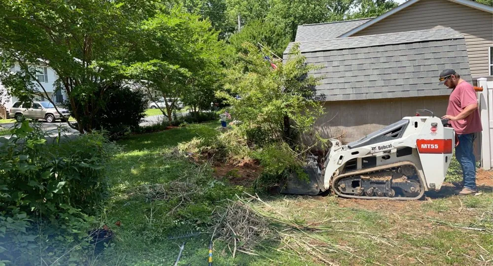 Professional yard cleanup service in Hollywood, MD - Mister Lawn Maintenance
