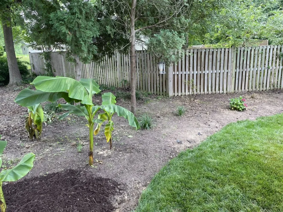 Custom outdoor landscaping for beautiful yards in Hollywood, MD by Mister Lawn Maintenance