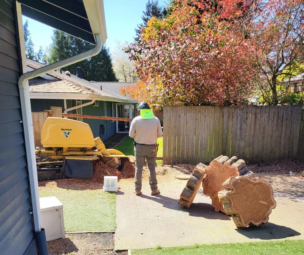 Expert landscape design in Bothell, WA by Mister Stump Grinder