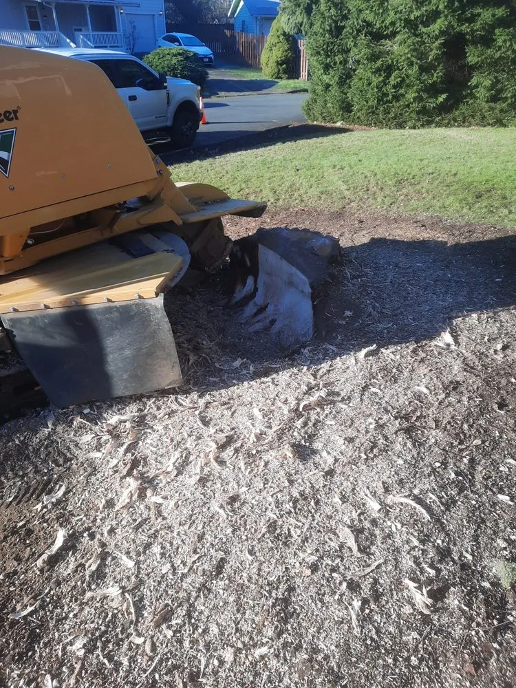 Professional residential landscaping in Bothell, WA - Mister Stump Grinder