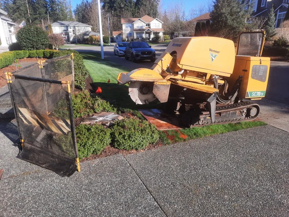 Top-rated lawn mowing service experts serving Bothell, WA - Mister Stump Grinder