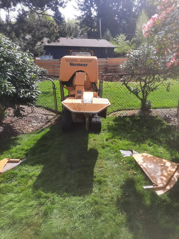 Custom lawn mowing service in Bothell, WA - Mister Stump Grinder