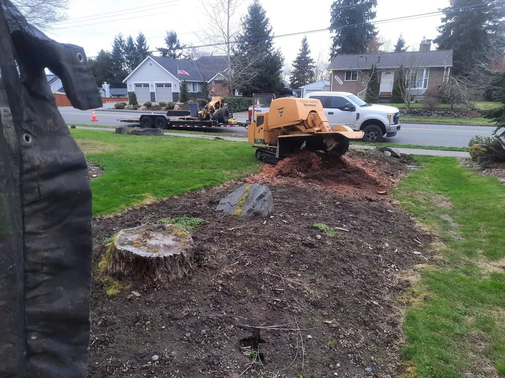 Custom landscape installation for residential properties across Bothell, WA - Mister Stump Grinder