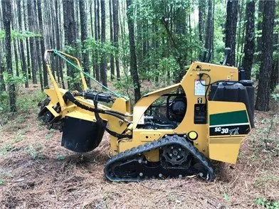 Reliable yard cleanup service for outdoor upgrades across Bothell, WA - Mister Stump Grinder