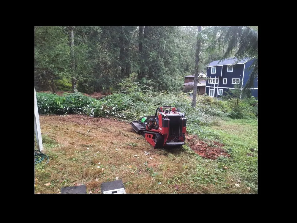 Trusted lawn mowing service for beautiful yards across Bothell, WA - Mister Stump Grinder