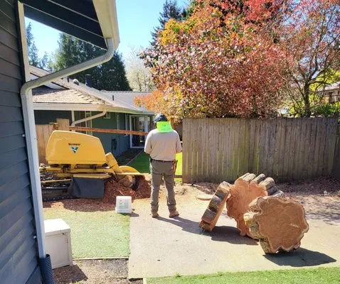 Mister Stump Grinder Logo