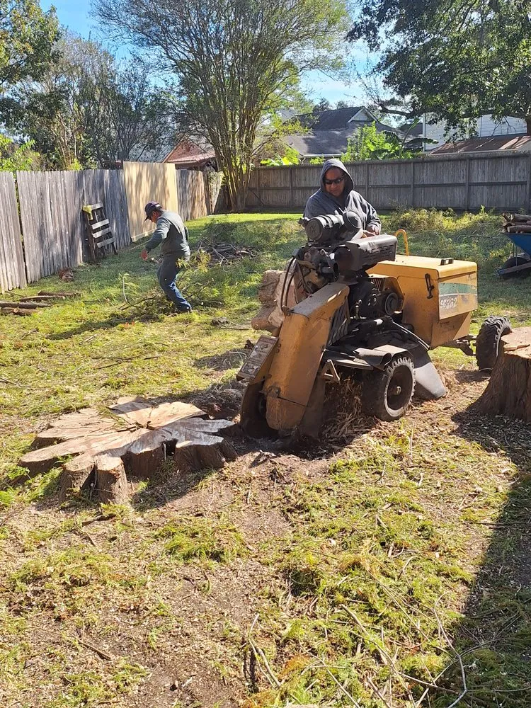 Reliable landscaping services in Houston, TX - Mister Tree Service