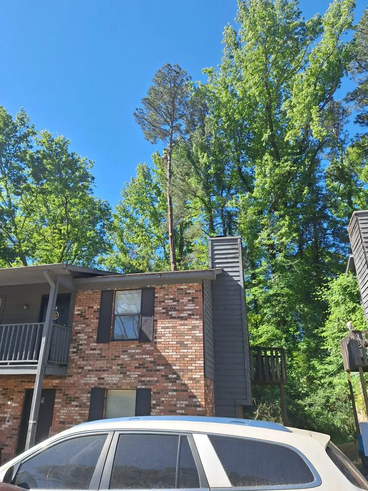 Expert garden landscaping in Houston, TX - Mister Tree Service