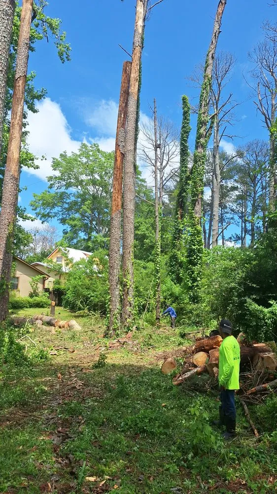 Affordable lawn mowing service for outdoor upgrades across Houston, TX - Mister Tree Service