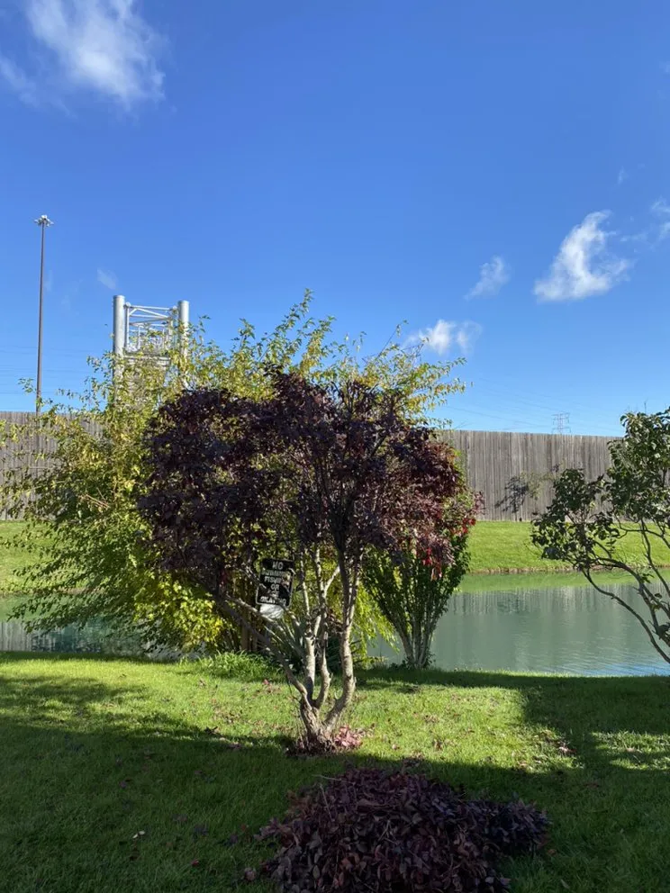 Top-rated yard cleanup service for year-round maintenance in Greenwood, IN by Mister Twister Repairs