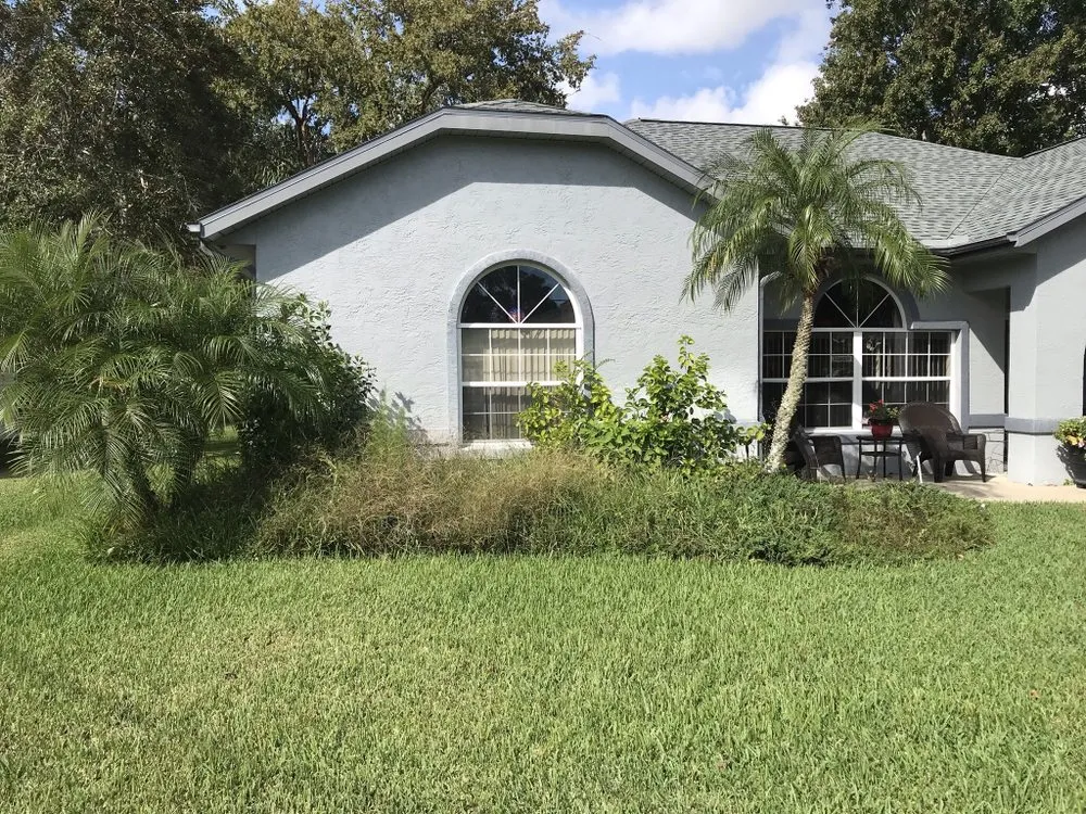 Trusted yard maintenance experts serving Palm Coast, FL - Mistletoe Trimming And Weeding service