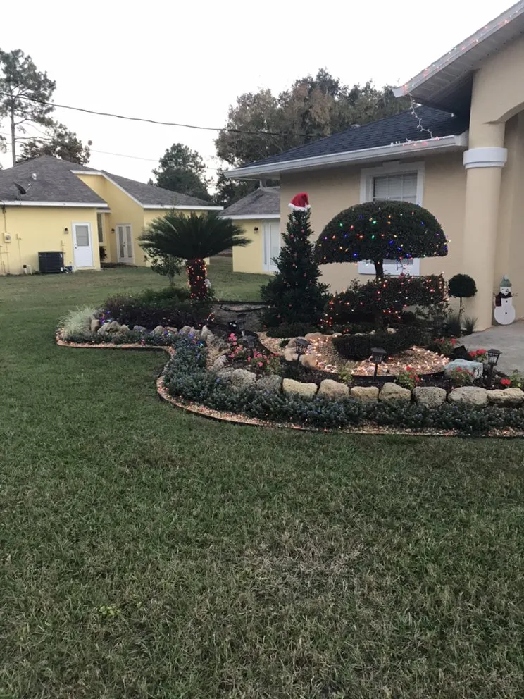 Affordable yard cleanup service in Palm Coast, FL by Mistletoe Trimming And Weeding service