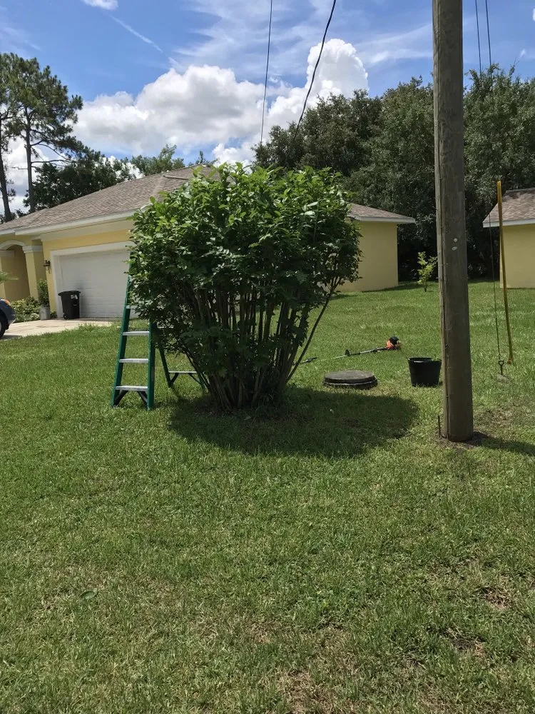 Local landscape design in Palm Coast, FL by Mistletoe Trimming And Weeding service