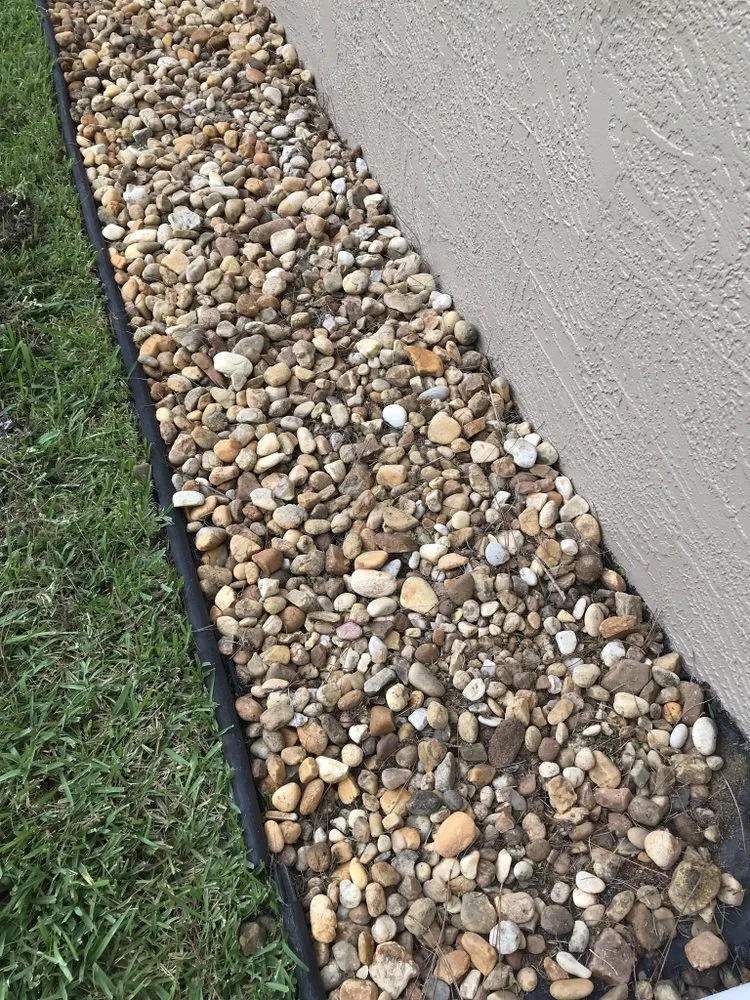 Affordable yard maintenance for homes across Palm Coast, FL - Mistletoe Trimming And Weeding service