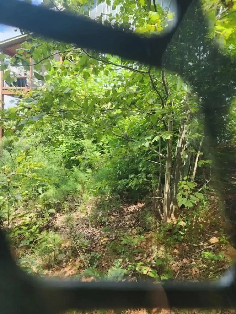 Professional landscaping services for homes across Ellijay, GA - Misty Valley Earthworks