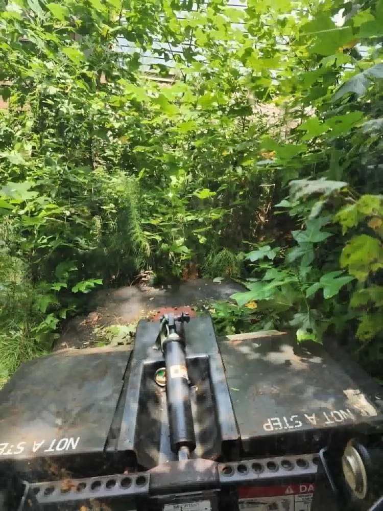 Expert lawn care service for residential properties across Ellijay, GA - Misty Valley Earthworks