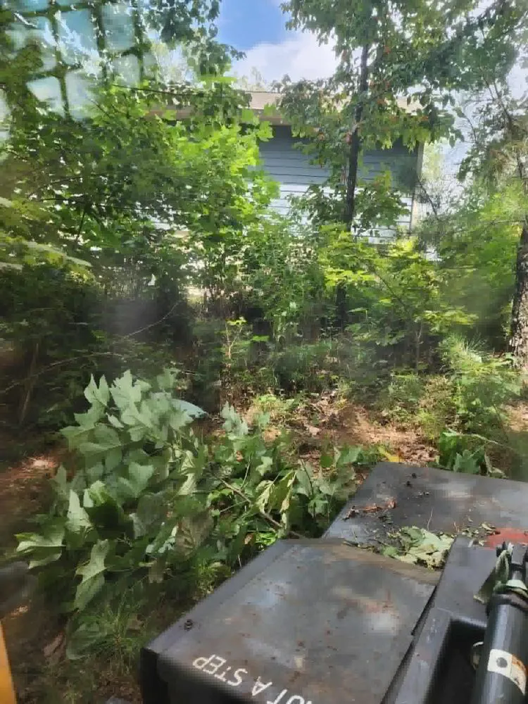 Expert lawn care service in Ellijay, GA - Misty Valley Earthworks