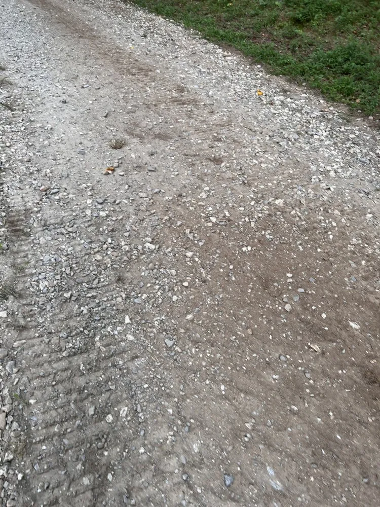 Professional outdoor landscaping for homes across Ellijay, GA - Misty Valley Earthworks