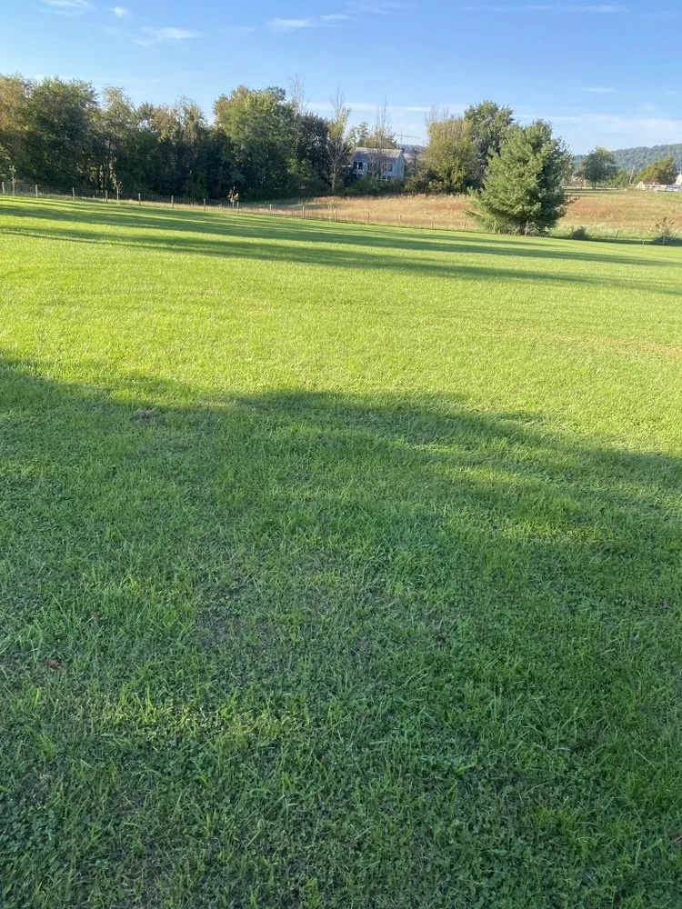 Reliable lawn mowing service in Anthony, FL - Misty Valley Property Services