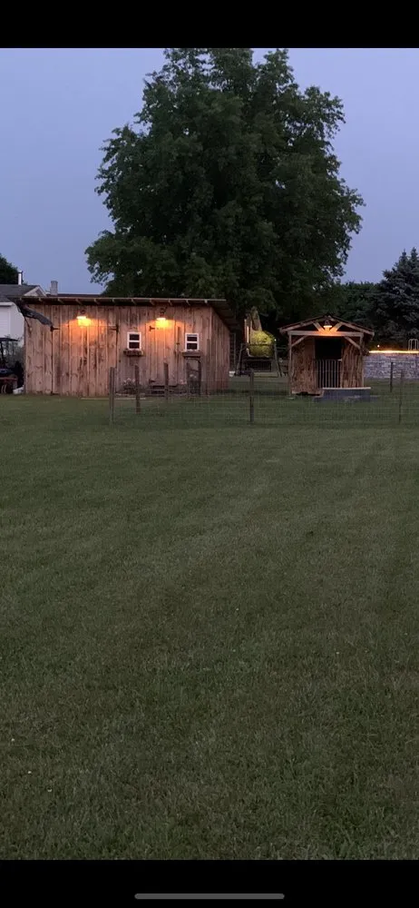 Professional lawn mowing service with custom design in Anthony, FL by Misty Valley Property Services
