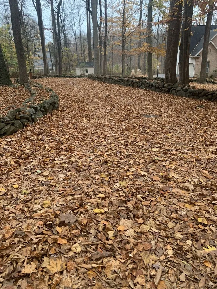 Custom yard maintenance for beautiful yards in Anthony, FL by Misty Valley Property Services