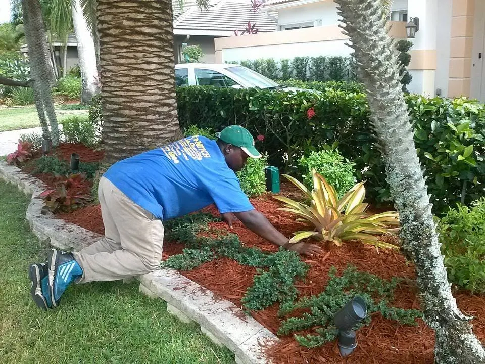 Top-rated landscaping services for outdoor upgrades across Plantation, FL - Mitch Lawn Service