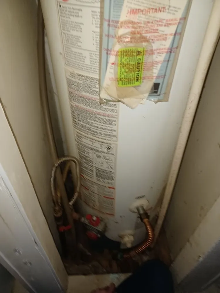 Trusted landscaping services experts serving Grand Rapids, MI - Mitch n Mike's Handy Service